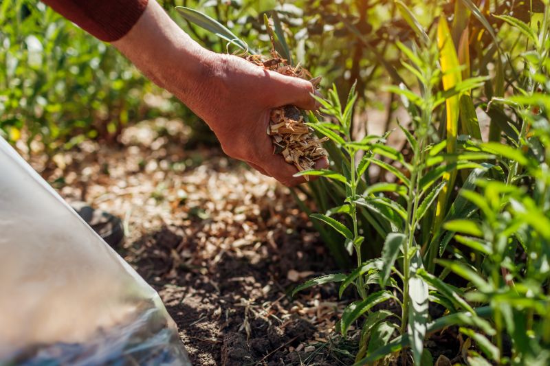 Weeding And Mulching